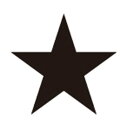 フットマーク FOOTMARK FOOTMARK フットマーク スイミング 星マーク 10枚入り 水泳 プール 水着 マーク グル (ブラック)