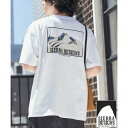 SIERRA DESIGNS(シエラデザインズ)別注ポケットTシャツ