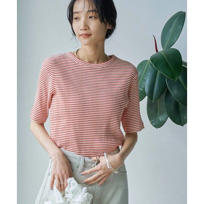 アカラコットンマルチボーダーコンパクトTシャツ
