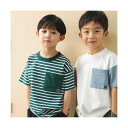 ブランシェス branshes 【WEB限定/DRC/お肌に嬉しい綿100%】ポケット半袖Tシャツ (95:グリーン)
