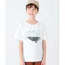 クリフ メイヤー KRIFF MAYER 楽LUCK TEE(鯨)(130~170cm) (OFF)