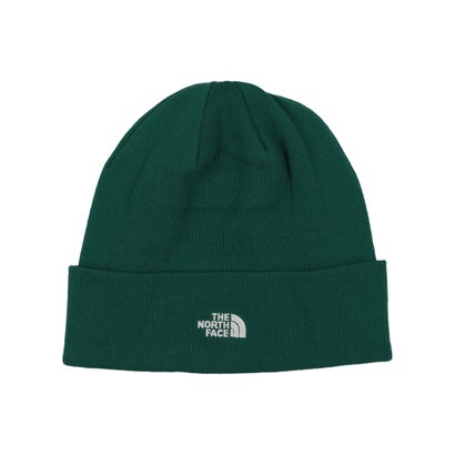 ザ・ノース・フェイス THE NORTH FACE ザ ノースフェイス 帽子 ビーニー ニット帽 NF0A5FW1 ニットキャップ 刺繍ロゴ フロントロゴ メンズ レディース THE NORTH FACE BEANIE (グリーン)