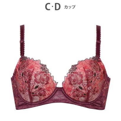  Wing ֥饸㡼 ʺ򥹥ࡼ ƹ߷ դä ڸѤ줤֥ EN