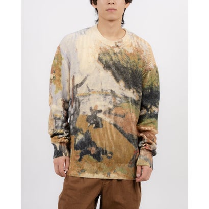 デシグアル Desigual 風景画のジャージー (グリーン)