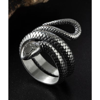 エモニーク emonique メンズ ハード ボリューム ステンレス ファッションリング (その他21)