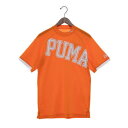プーマ PUMA ゴルフ セッショクレイカン ビッグロゴ SSモックネック (RICKIE ORANGE)