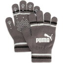 プーマ PUMA プーマ PUMA NO.1ロゴ マジックグローブ 手袋 ウォーマー 防寒 保温 アクセサリー 滑り止め加工 スポーツ観戦 通勤 通学 自転車 秋 (11 CASTIRON-PUMABLACK)