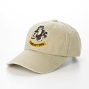 アヴィレックス AVIREX AVIREX EX USNA TOMCAT PIGMENT CAP (ベージュ)