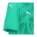 プーマ PUMA プーマ PUMA サッカー TEAMULTIMATE...(4)