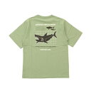 クリフ メイヤー KRIFF MAYER クリーネス 半袖 Tシャツ サメ (L/GREEN)
