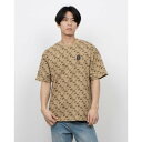 ディーシーシューズ DC SHOES エクストリームスポーツ 半袖Tシャツ 25 MONO SS DST251099S (BEG)
