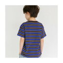 ブランシェス branshes 【WEB限定/DRC/綿100%】マルチボーダー半袖Tシャツ (ブラウン)
