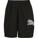 プーマ PUMA プーマ PUMA TAD ESSENTIAL BIG...(4)