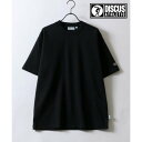 シトリー SITRY DISCUS/ディスカス USAコットン ヘビーウェイト オーバーサイズ Tスウェット Tトレーナー 半袖Tシャツ (ブラック)