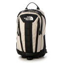 ザ・ノース・フェイス THE NORTH FACE BIG SHOT ONE WAY ビッグショット ワンウェイ ボディバッグ ショルダー バッグ (ベージュ)