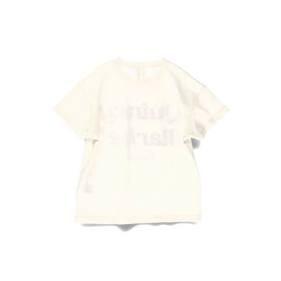 �֥�󥷥��� branshes ��WEB����/DRC�ۥ������ȥ���ȾµT����� ��91:mid day���եۥ磻�ȡ�