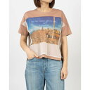 ブローディア BRODIAEA オーガンジー転写プリント 配色切り替え半袖Tシャツ (ピンク)