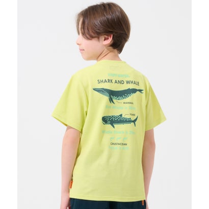 クリフ メイヤー KRIFF MAYER 涼タッチシャリT（最大対決） （YELLOW）