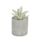 ダルトン DULTON ALOE FRAGRANCE DIFFUSER 【返品不可商品】 (CUTTING GRASS)