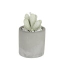 ダルトン DULTON ALOE FRAGRANCE DIFFUSER 【返品不可商品】 (SPRING FLOWER)