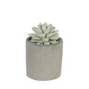 ダルトン DULTON ALOE FRAGRANCE DIFFUSER 【返品不可商品】 (WATER LILY)