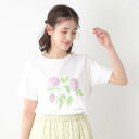 ローラ アシュレイ LAURA ASHLEY 【コットン100%/洗える】ハイドランジア柄Tシャツ (オフホワイト(003))