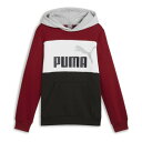 プーマ PUMA プーマ PUMA ESS+ カラーブロック フーディースウェット FL 684028 (13 インテンスレッド)(4)