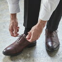 テクシーリュクス texcy luxe 公式ショップ限定モデル!texcy luxeエントリーモデル | ストレートチップ (ワイン)