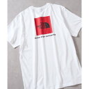 ザ・ノース・フェイス THE NORTH FACE 87NP/M S S BOX NSE TEE (ホワイト系その他3)