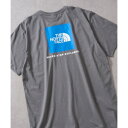 ザ・ノース・フェイス THE NORTH FACE 87NP/M S S BOX NSE TEE (グレー系その他3)