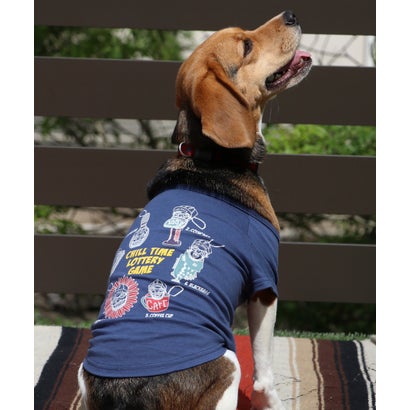 クリフ メイヤー KRIFF MAYER DOGチルタイムT(キーホルダー)【返品不可商品】 （BLUE）