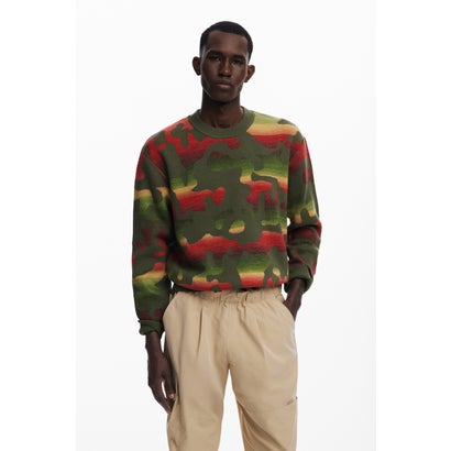 デシグアル Desigual アニマルストライプセーター (グリーン)