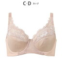 ウイング Wing ブラジャー バストをしっかり包みこむ 背中の段差を軽減 綿混(カップ肌側) フルカップブラ (BE)