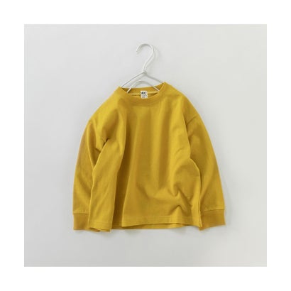 �֥�󥷥��� branshes ��WEB����/DRC�ۥ����С�������̵��ĹµT����� �ʥ��饷��