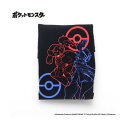 ブランシェス branshes 【ポケモン】ロンT 長袖Tシャツ (85BK_グレンアルマ他)