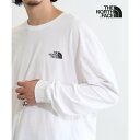 ザ・ノース・フェイス THE NORTH FACE 87NN/M L/S BOX NSE TEE (ホワイト)