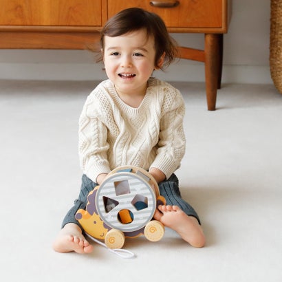 ポーラービー PolarB ソーティングプルトイ・はりねずみ【返品不可商品】 （マルチカラー）