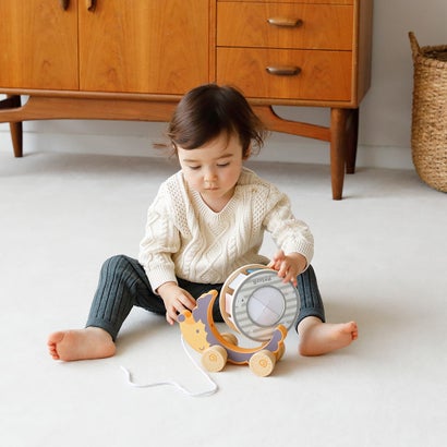 ポーラービー PolarB ソーティングプルトイ・はりねずみ【返品不可商品】 （マルチカラー） 2