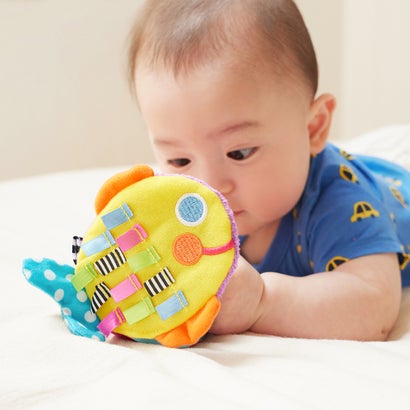 サッシー Sassy かしゃかしゃぬのえほん【返品不可商品】 （おさかな）