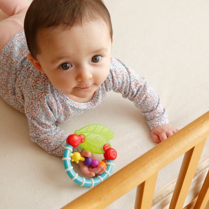 サッシー Sassy カミカミあおむし【返品不可商品】 （マルチカラー）