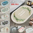 珪藻土 珪藻土バスマット バスマット 楕円 Lサイズ マット 足拭きマット 足ふきマット お風呂マット 水切りマット 吸水 速乾 抗菌 おしゃれ 足快バスマット