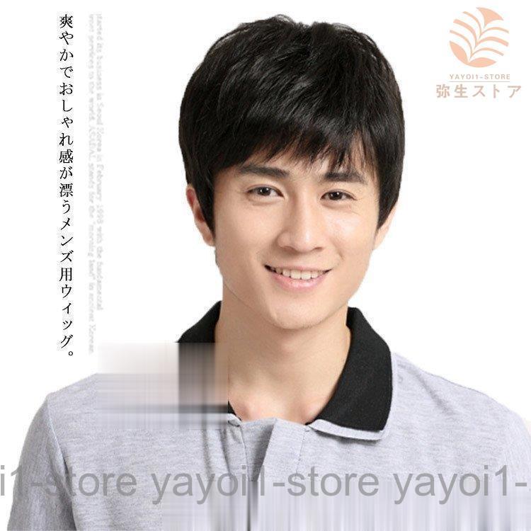 ウィッグメンズ男性つけ毛カツラ爽やかショート黒髪ダークブラウンフルウィッグ白髪隠し薄毛増毛父の日..