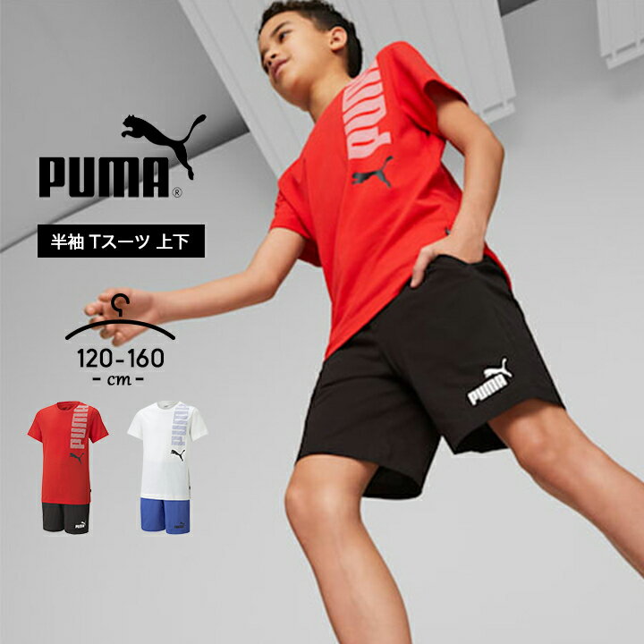 ס ȾµT 㡼 ϡեѥ 硼ȥѥ 岼å T å ˥ ˤλ Ҷ ղƽ puma 120cm 130cm 140cm 150cm 160cm ˻ ݡ Ҷ ûѥ ѥ ȥåץ 硼 ˥ ޥ饽 ̵