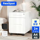 FLEXISPOT フレキシスポット オフィスワゴン キャスター付きオフィスデスクサイドワゴン 2段書類キャビネット 書類ケース 2色