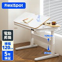 学習机 シンプル コンパクト デスク 120 昇降デスク 昇降 電動式 FlexiSpot SD8 天板角度調節 スタンディングデスク 引き出し おしゃれ 電動昇降デスク 昇降式デスク オフィスデスク 勉強机 高さ調節 事務机 昇降テーブル