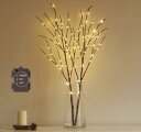 Hairui ブランチツリー LED ライト 枝 イルミネーション ツリー インテリア 電池式 間接照明 クリスマス 高さ80cm 100電球 オシャレ 北欧 タイマー機能 防水 金色(花瓶が含まない)(3)