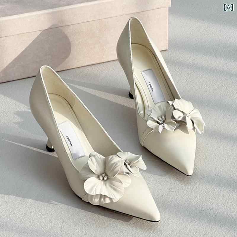 �� ��ǥ����� �ݥ���ȥȥ� �������å� ĳ��� ����åȥҡ��� ��鴶 ���ʻȤ� ����Ū ���å�