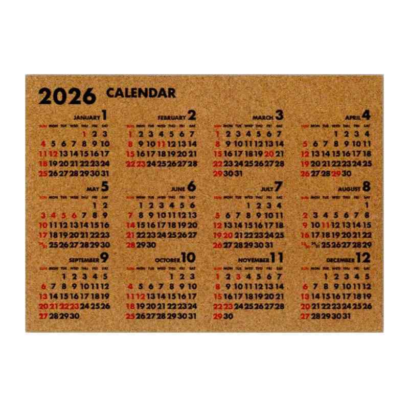 パインブック 2026 コルク年間カレンダー フーツラ