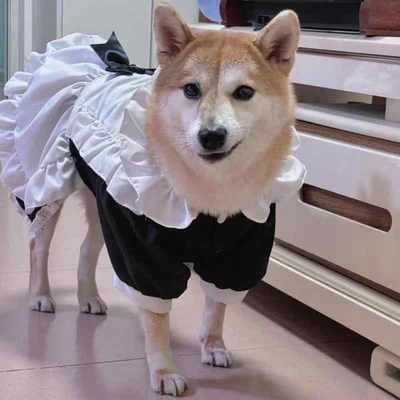 犬用 女の子用 変身衣装 メイド服 スカート エプロン ヘッドアクセサリー かわいい ピンク系 ブラック 軽量 伸縮性 綿素材 散歩用