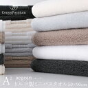 ギフトに最適 ギフト箱入り手触りが違う高級タオルトルコ製 コットンプレミアム エーゲ ミニバスタオル 50×90cm チャコールグレー アイボリー ライトグレー...